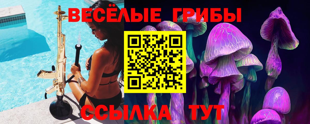 Псилоцибиновые грибы MAGIC MUSHROOMS Соль-Илецк
